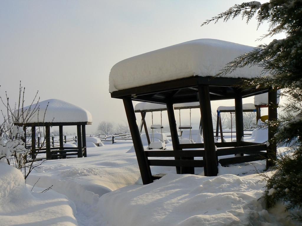 Hotel Orbel Dobrinishte Exterior photo