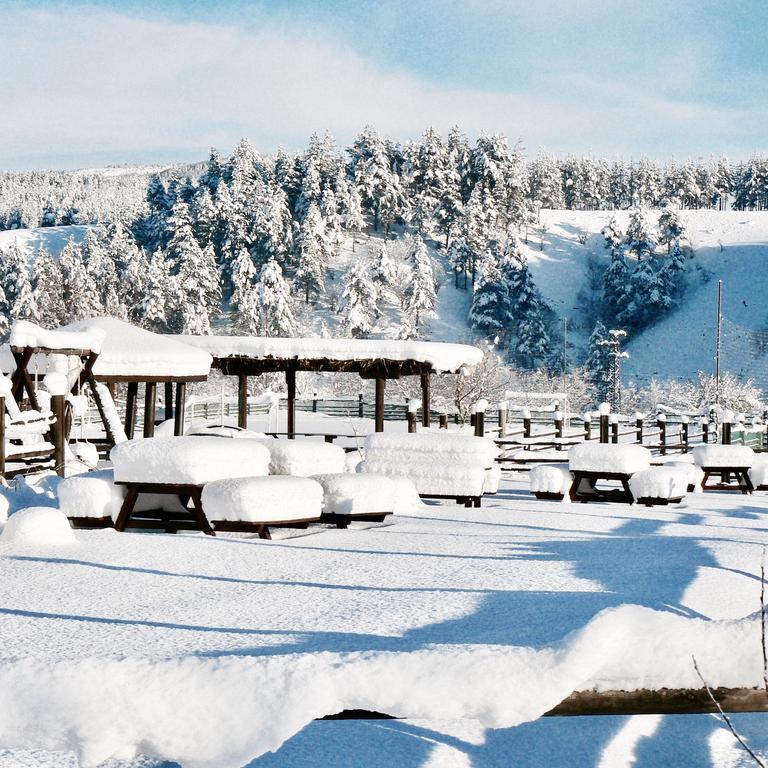Hotel Orbel Dobrinishte Exterior photo